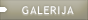 GALERIJA